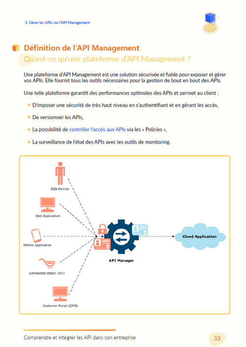 Livre Blanc API - Capture définition API Management